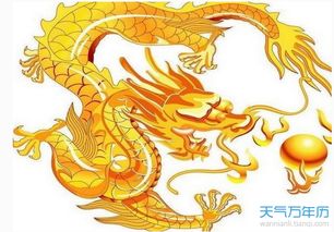 龙的运势如何（属龙人的查询）PP电子平台今日运势：今日属