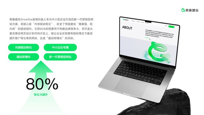 荐：十大优质口碑高端品牌质感网站建设公司实测口碑榜PP电子模拟器2025 年中国高端网站建设公司推(图3)