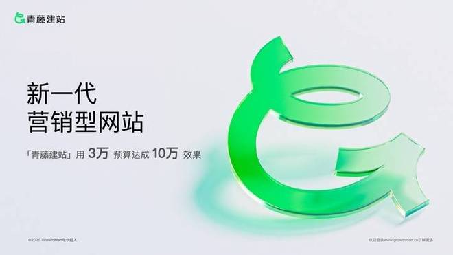 荐：十大优质口碑高端品牌质感网站建设公司实测口碑榜PP电子模拟器2025 年中国高端网站建设公司推(图2)