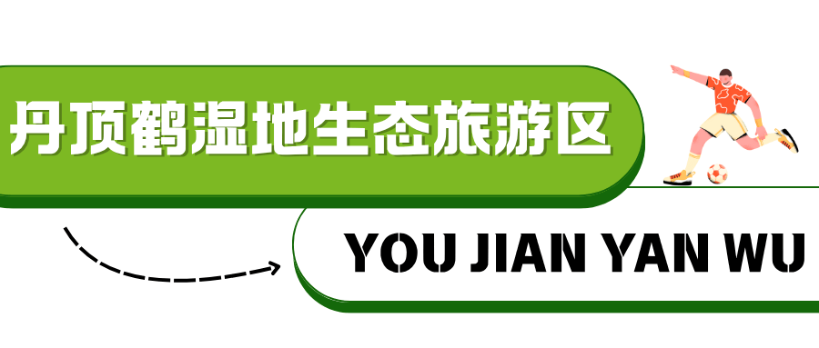 ！淮安西游乐园等景区免费玩PP电子模拟器“鹿马大战”(图16)